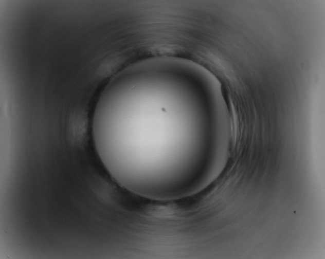 X0000093100548200710031832