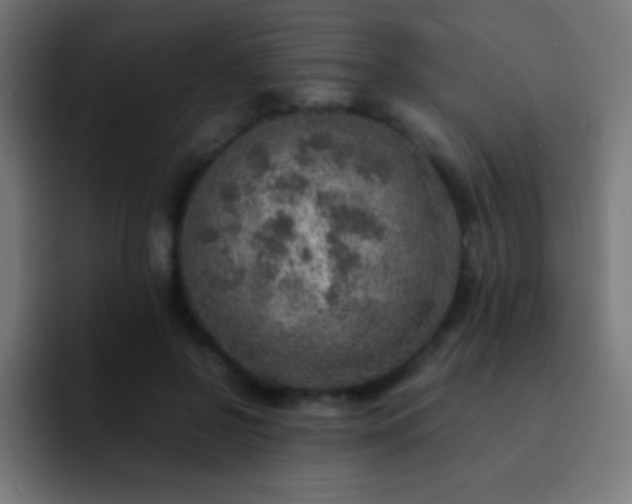 X0000093100550200710031832