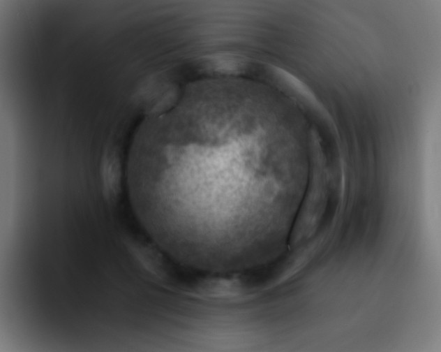 X0000093100552200710031832