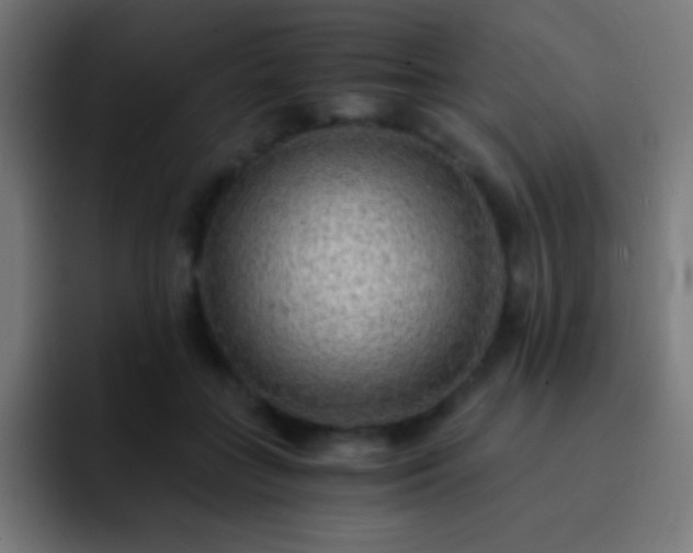 X0000093100555200710031832