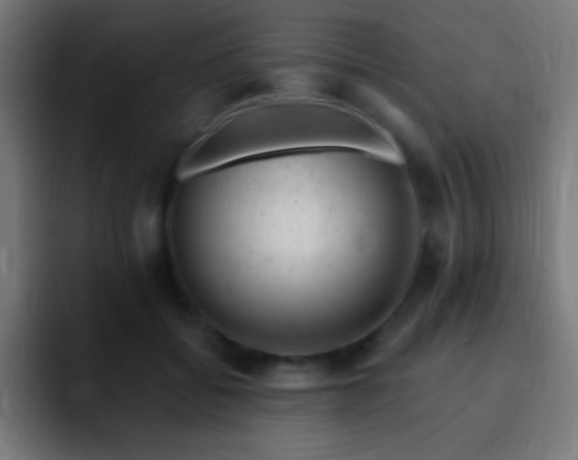 X0000093100556200710031832
