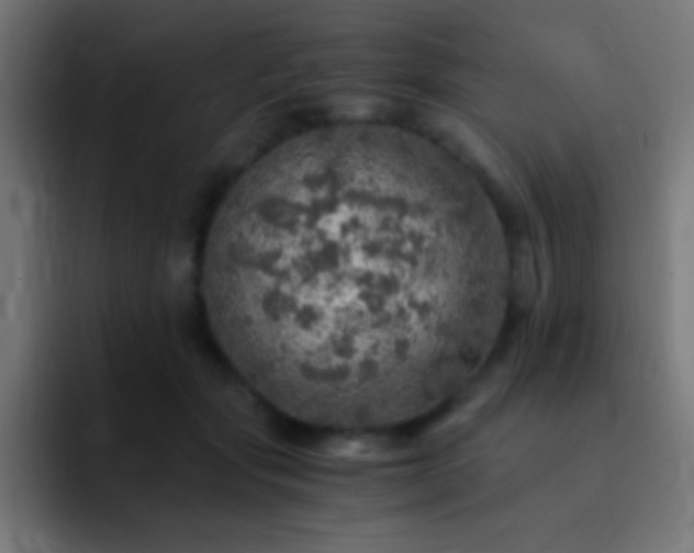 X0000093100557200710031832