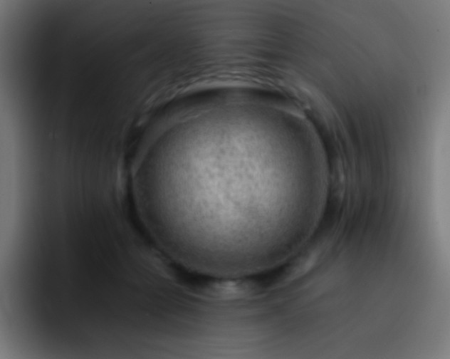X0000093100558200710031832