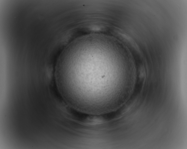 X0000093100559200710031832
