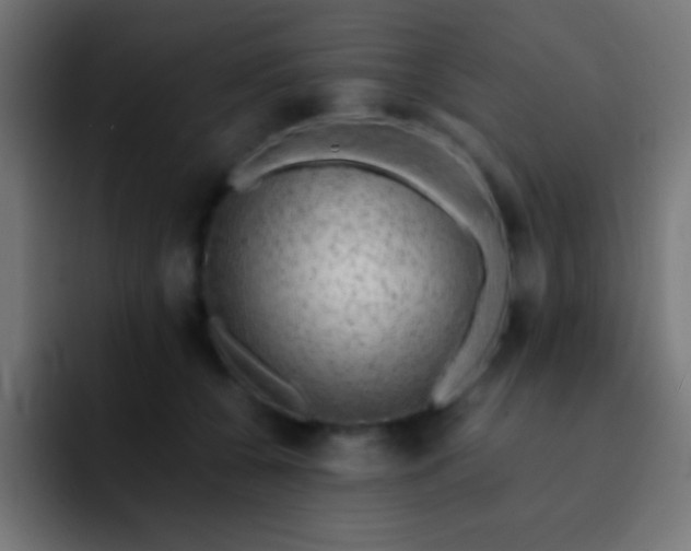 X0000093100560200710031832