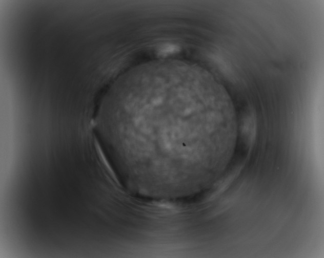 X0000093100565200710031832