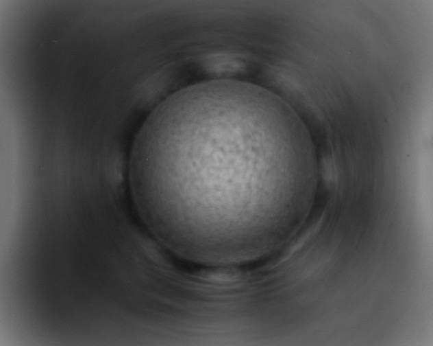 X0000093100567200710031832