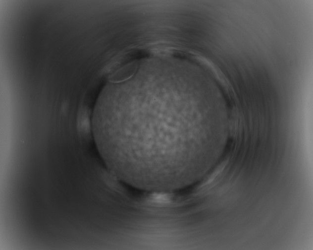X0000093100573200710031832