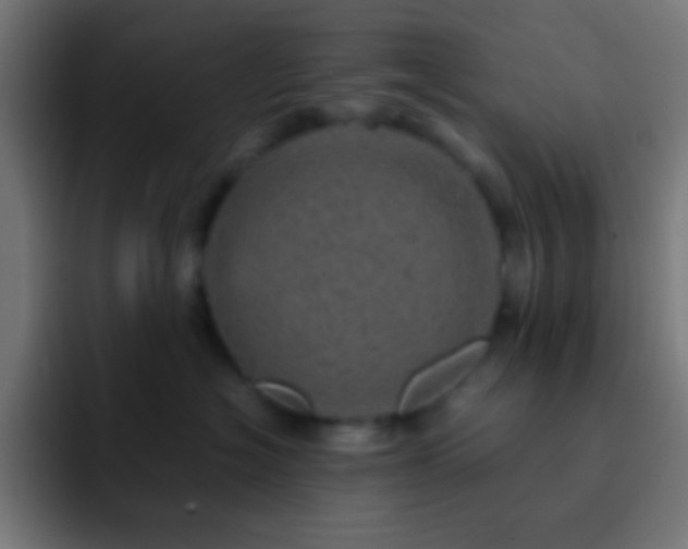 X0000093100574200710031832