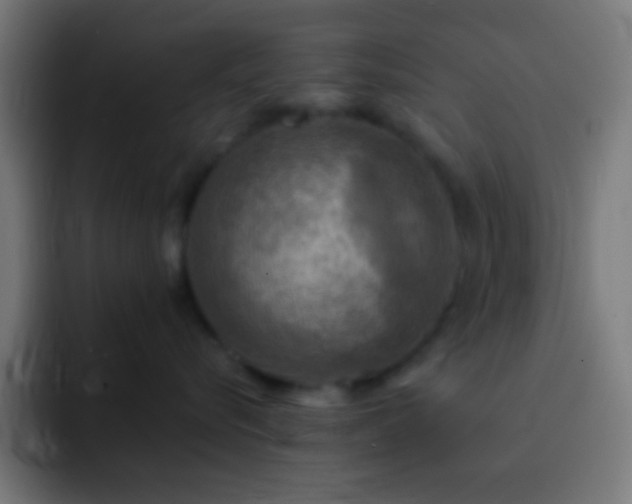 X0000093100576200710031832