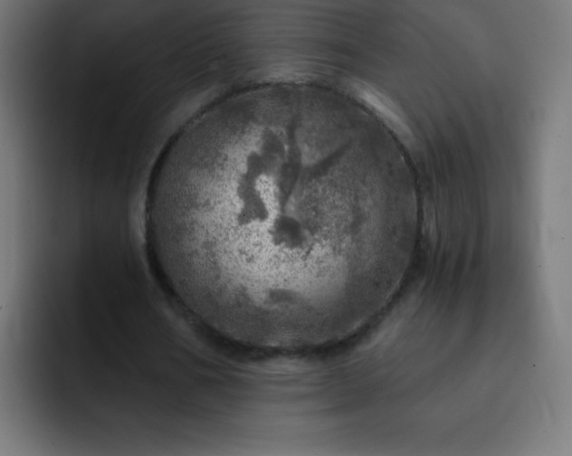 X0000093100578200710031831