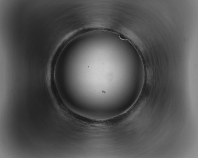 X0000093100580200710031831