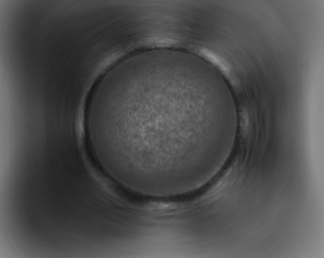 X0000093100582200710031831