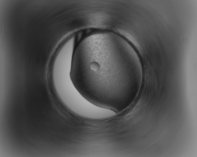 X0000093100584200710031831