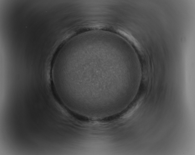 X0000093100585200710031831