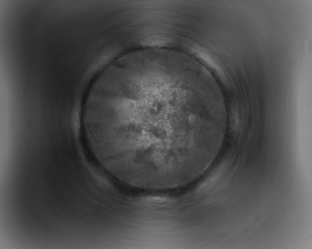X0000093100586200710031831
