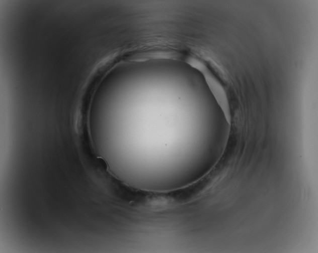 X0000093100587200710031831