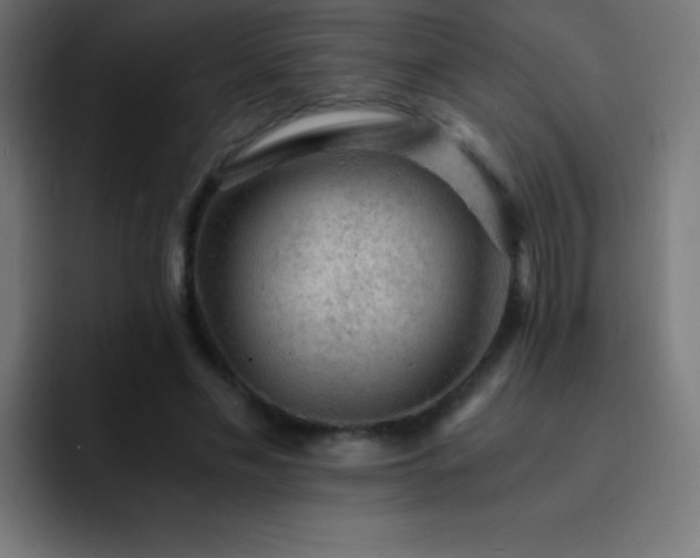 X0000093100589200710031831