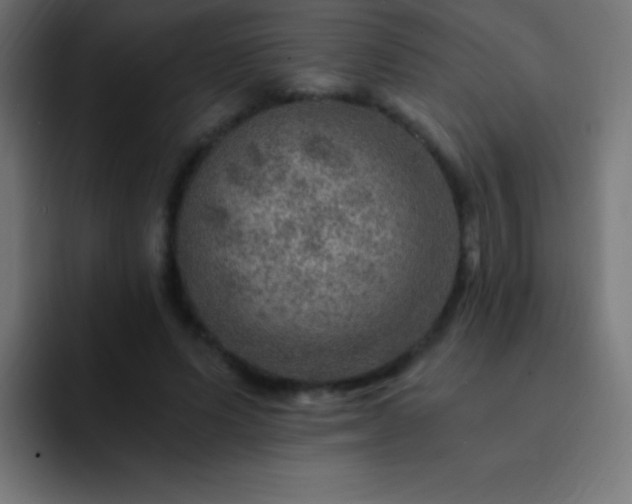 X0000093100591200710031831