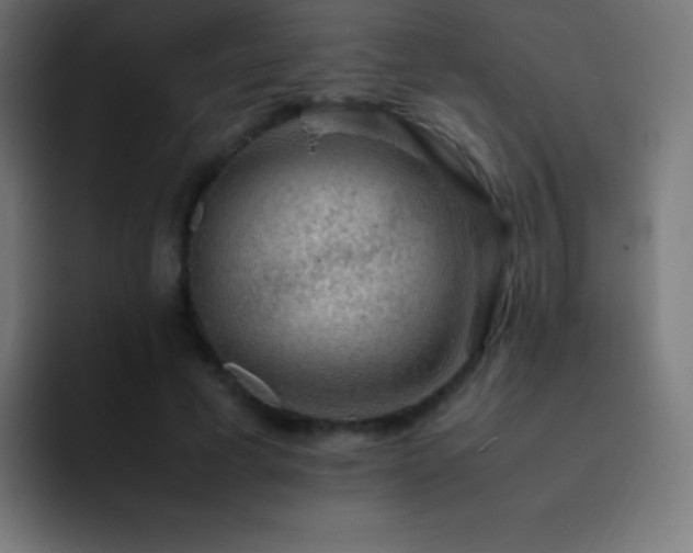 X0000093100593200710031831