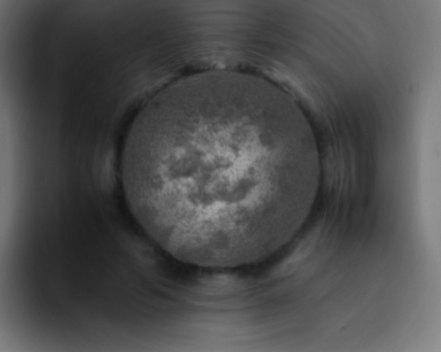 X0000093100594200710031831