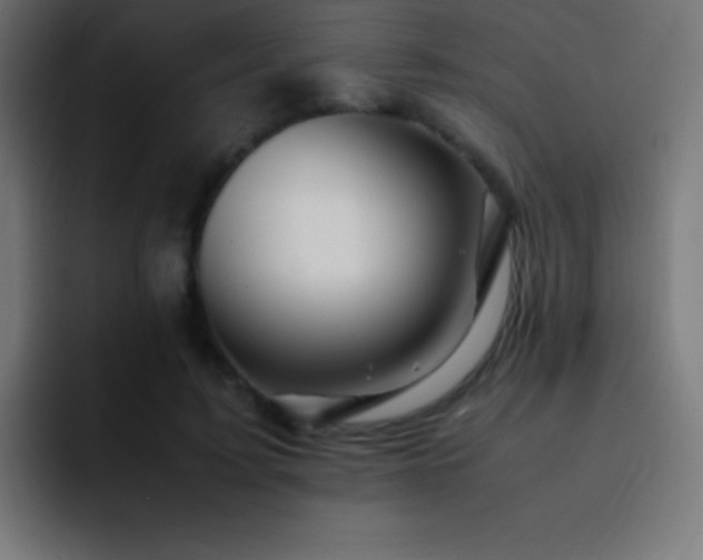 X0000093100595200710031831