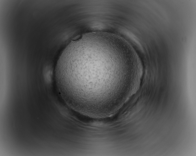 X0000093100596200710031831