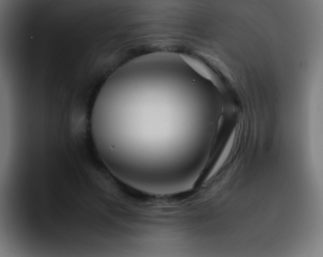 X0000093100597200710031831
