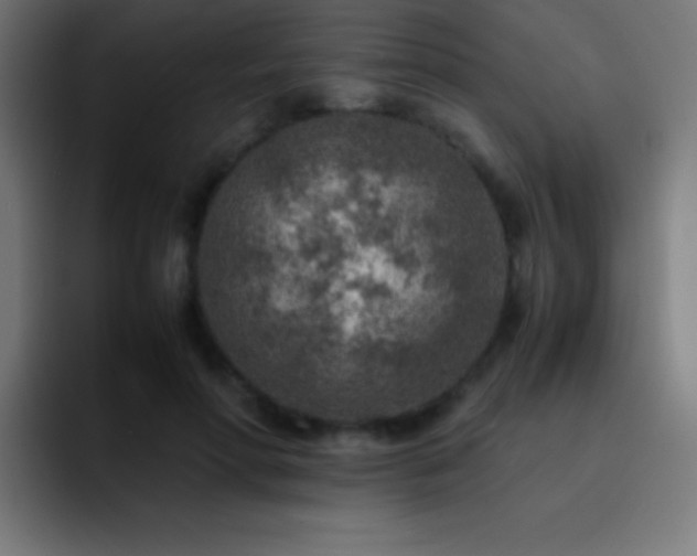 X0000093100598200710031831