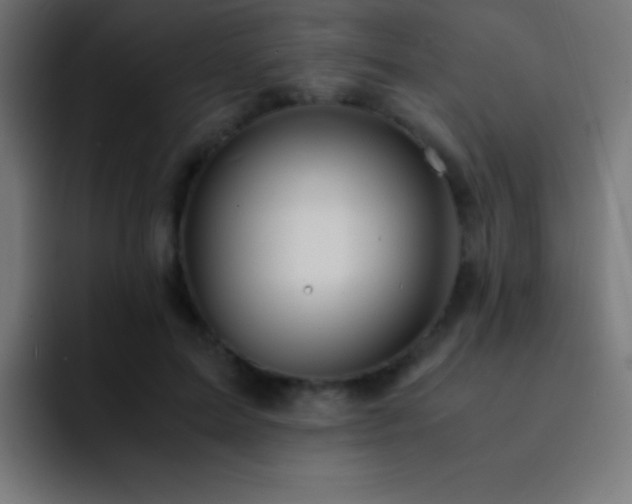 X0000093100599200710031831