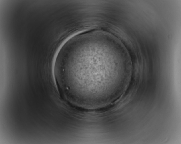 X0000093100600200710031831