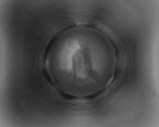 X0000093100604200710031831
