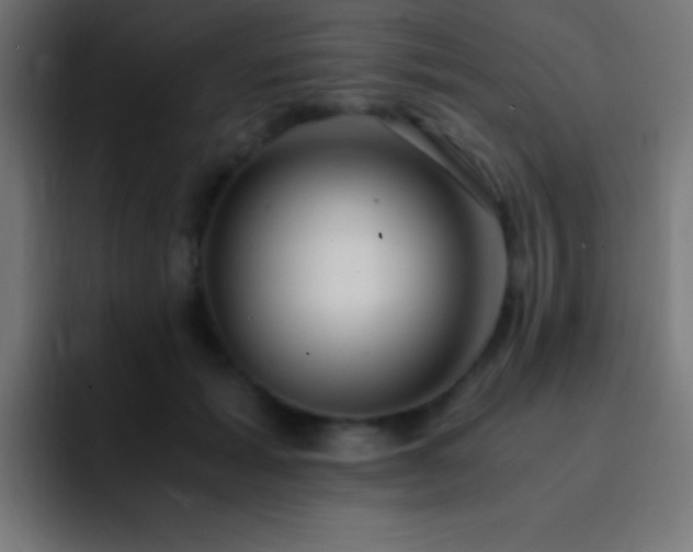 X0000093100605200710031831