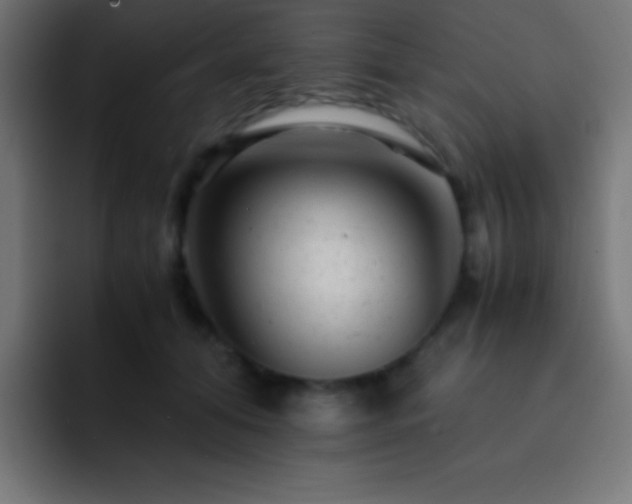X0000093100608200710031831