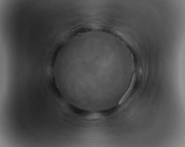 X0000093100609200710031831