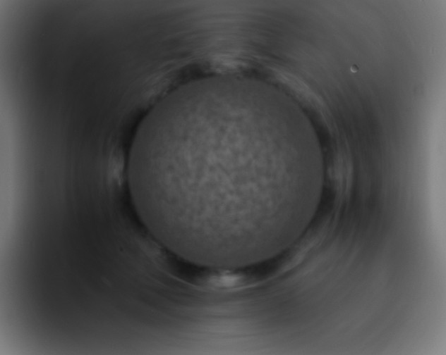 X0000093100610200710031831