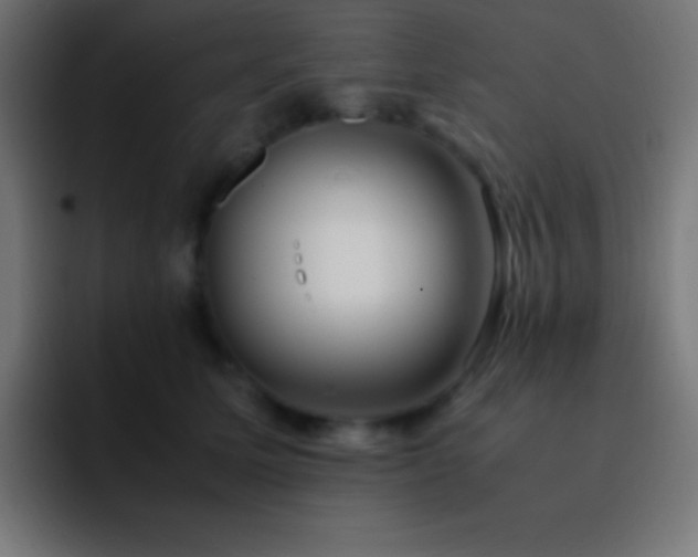 X0000093100611200710031831