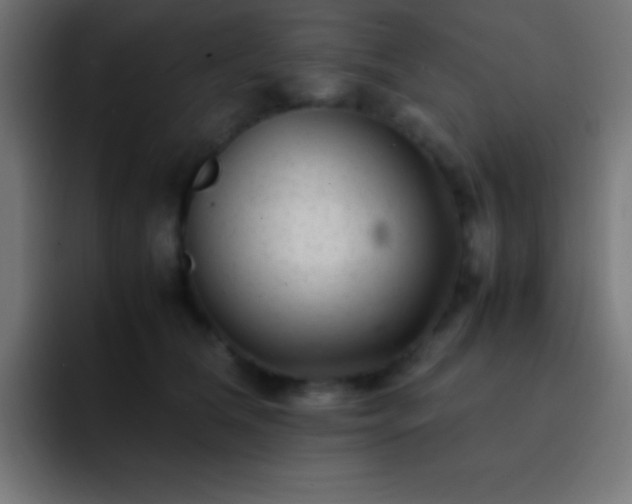 X0000093100612200710031831