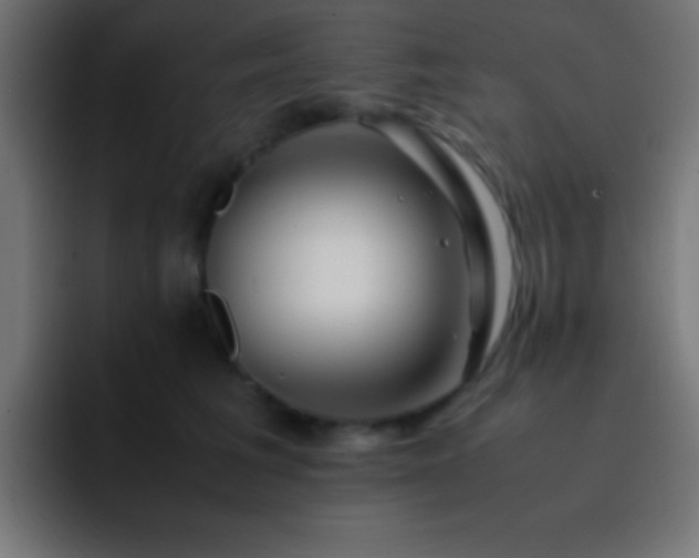 X0000093100613200710031831
