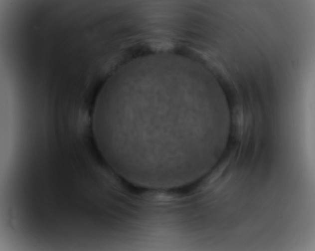X0000093100614200710031831