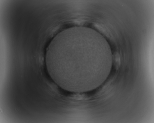 X0000093100615200710031831