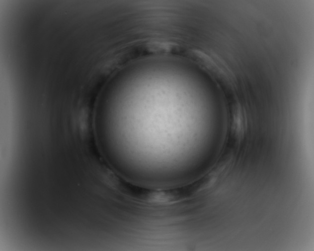 X0000093100616200710031831