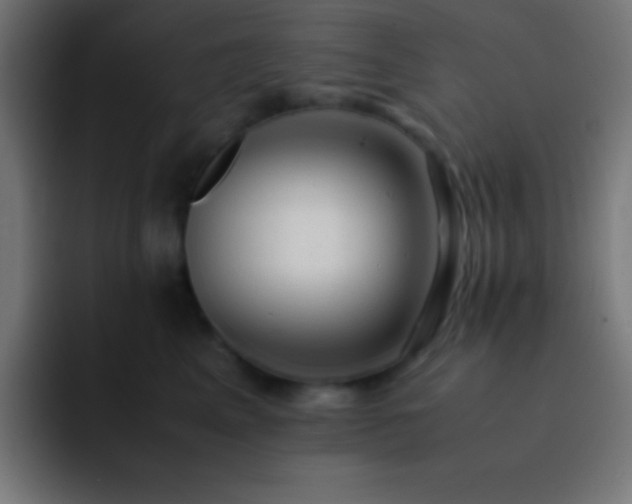 X0000093100617200710031831