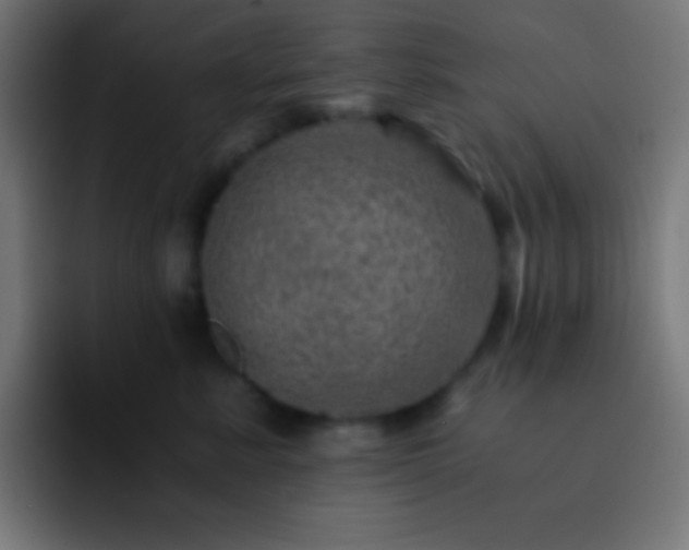 X0000093100619200710031831