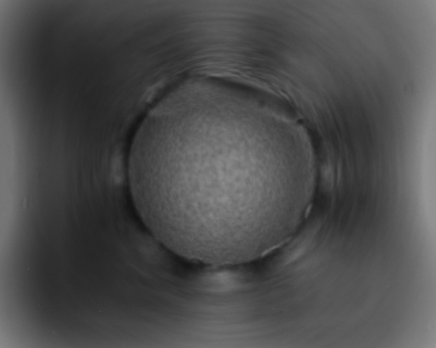 X0000093100620200710031831