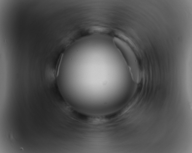 X0000093100621200710031831