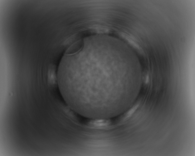 X0000093100622200710031831