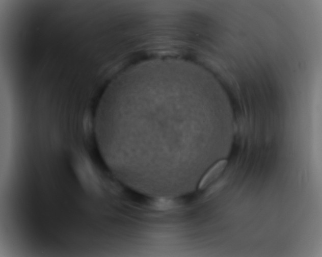 X0000093100623200710031831