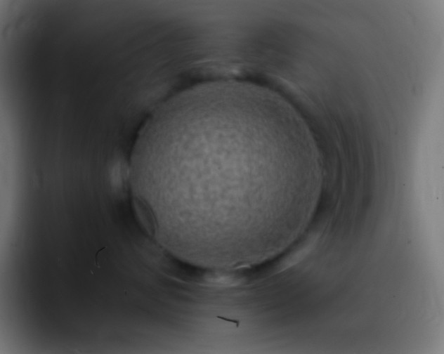 X0000093100624200710031831