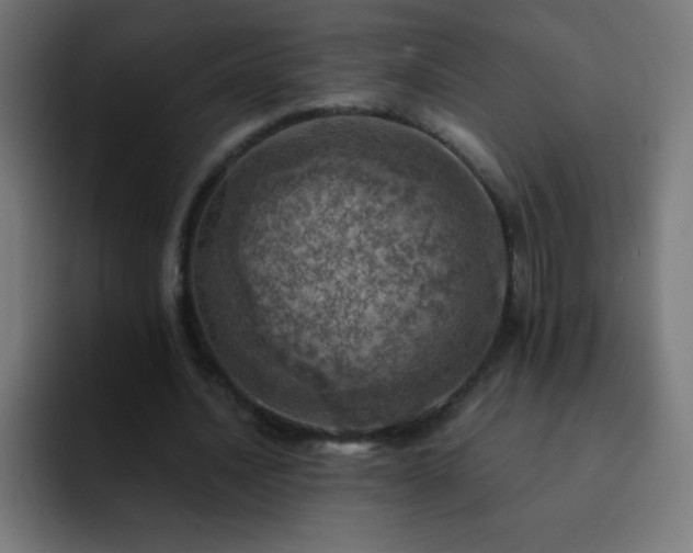 X0000093100628200710031830